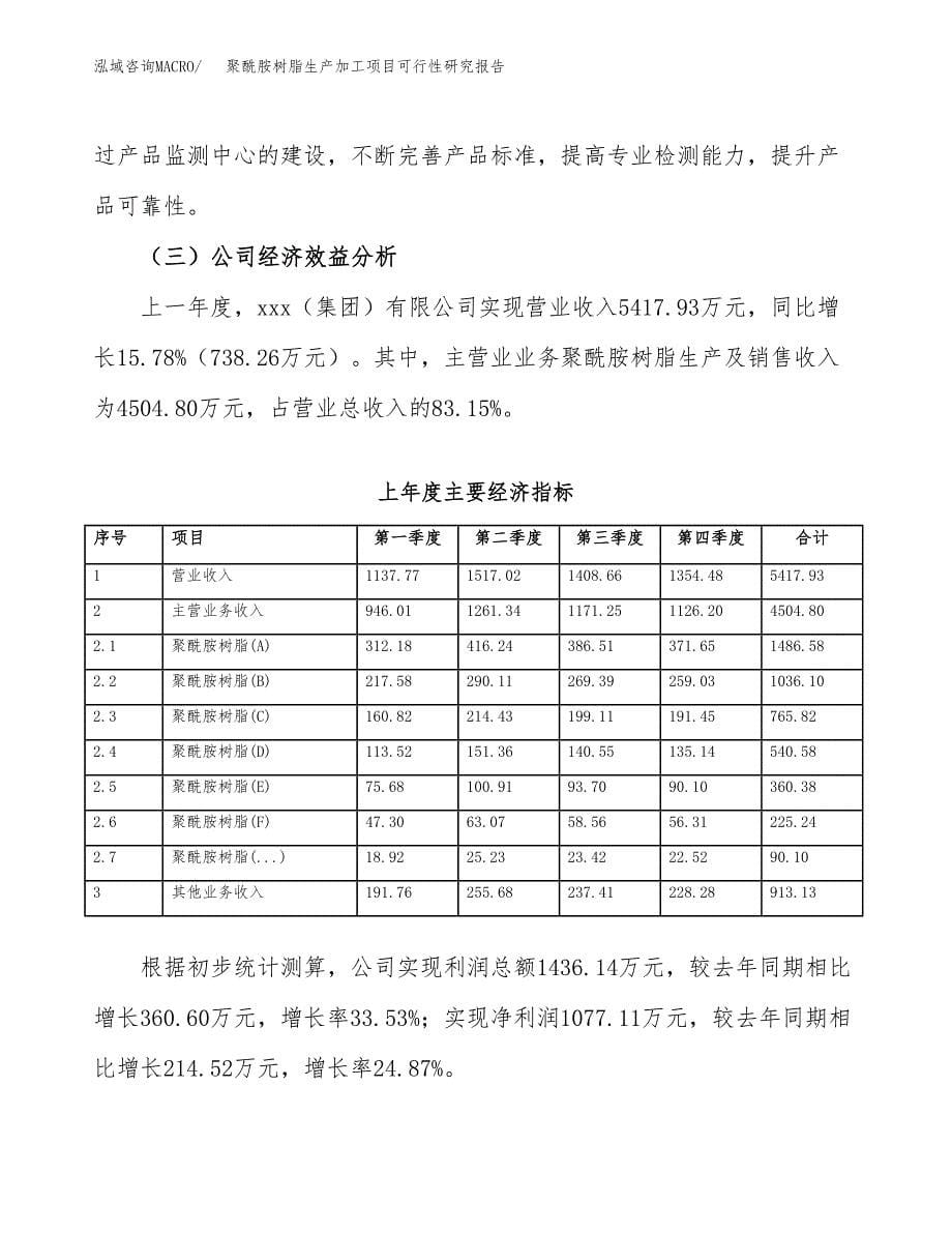 （模板）聚酰胺树脂生产加工项目可行性研究报告_第5页