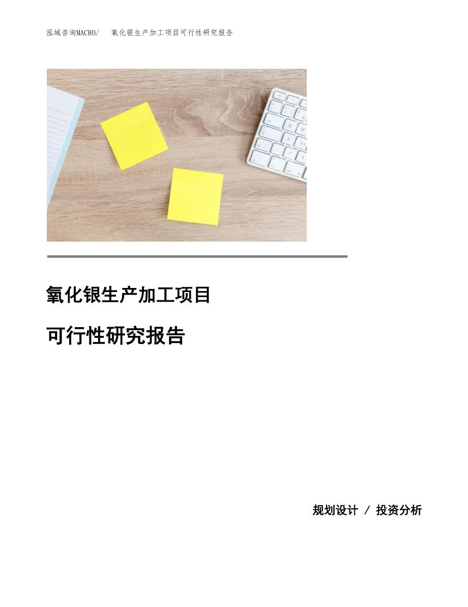 氧化银生产加工项目可行性研究报告_第1页