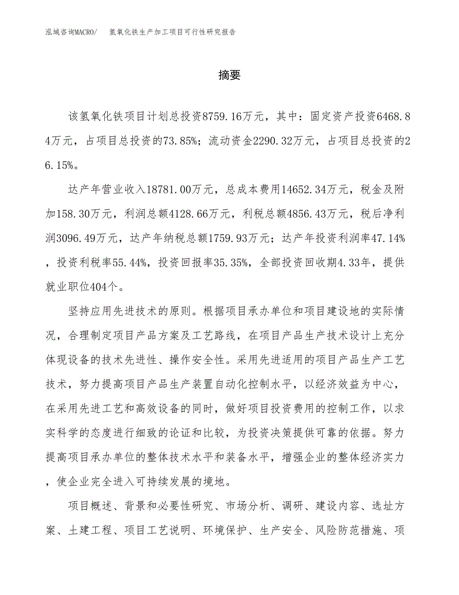 （模板）氢氧化铁生产加工项目可行性研究报告_第2页