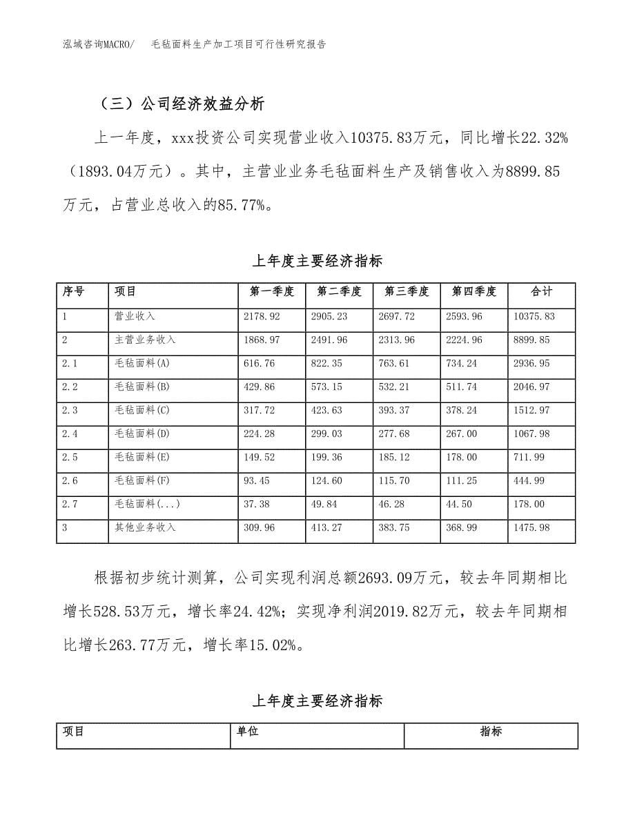 （模板）毛毡面料生产加工项目可行性研究报告_第5页