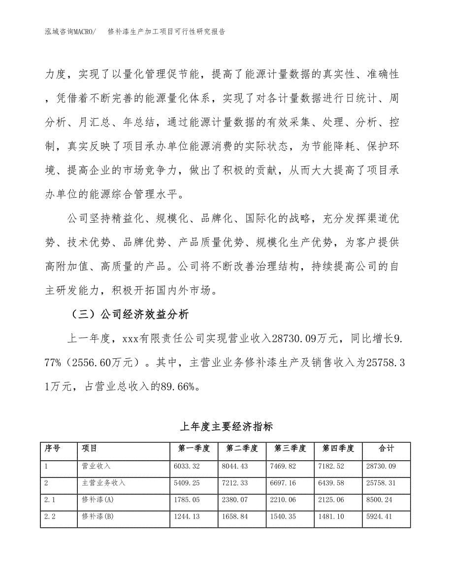 （模板）修补漆生产加工项目可行性研究报告_第5页