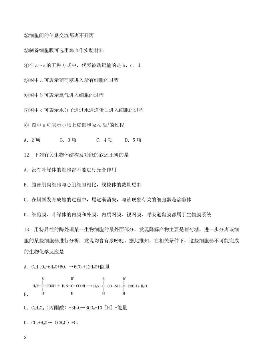 甘肃省兰州第一中学2019届高三12月月考生物试卷含答案_第5页