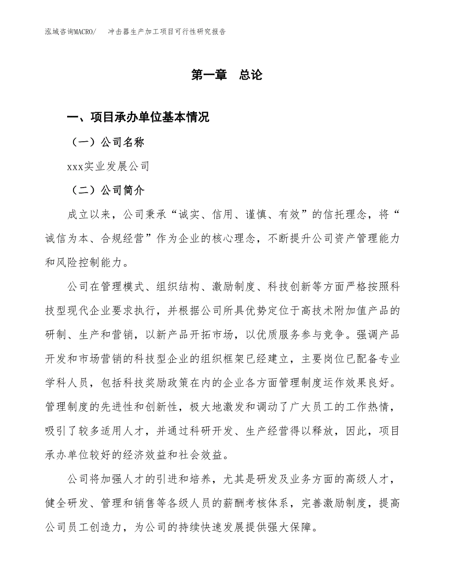 （模板）冲击器生产加工项目可行性研究报告_第4页