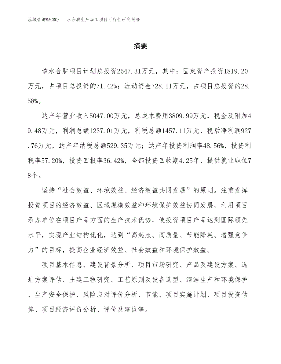 （模板）水合肼生产加工项目可行性研究报告_第2页