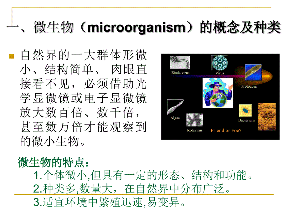 医学微生物概述_第2页