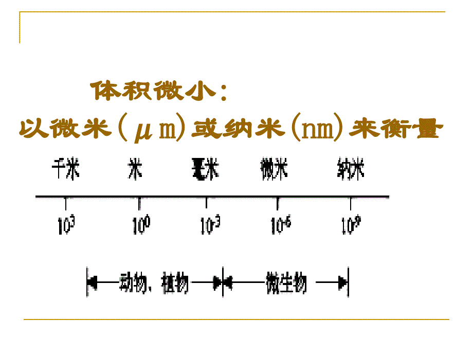 医学微生物概述_第4页