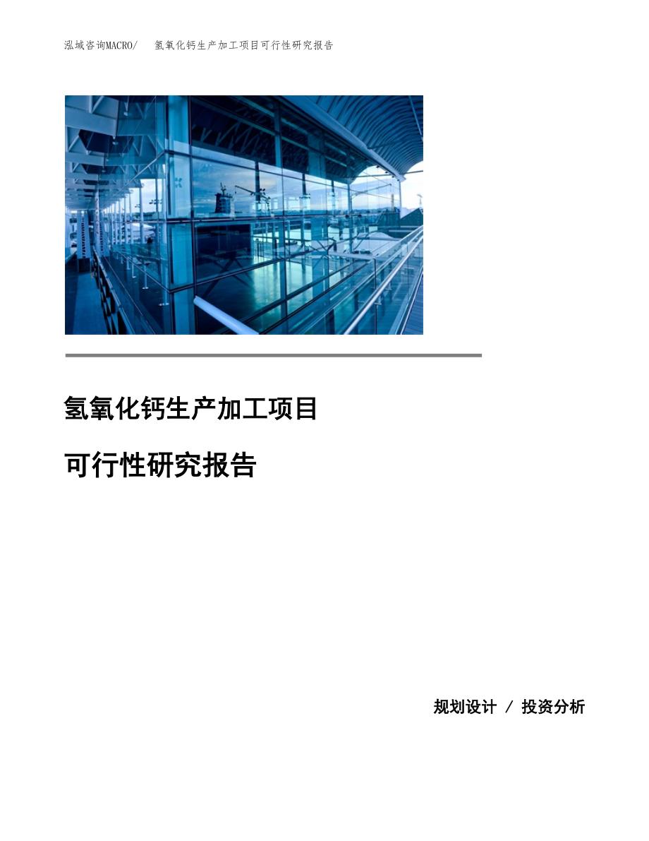 （模板）氢氧化钙生产加工项目可行性研究报告_第1页