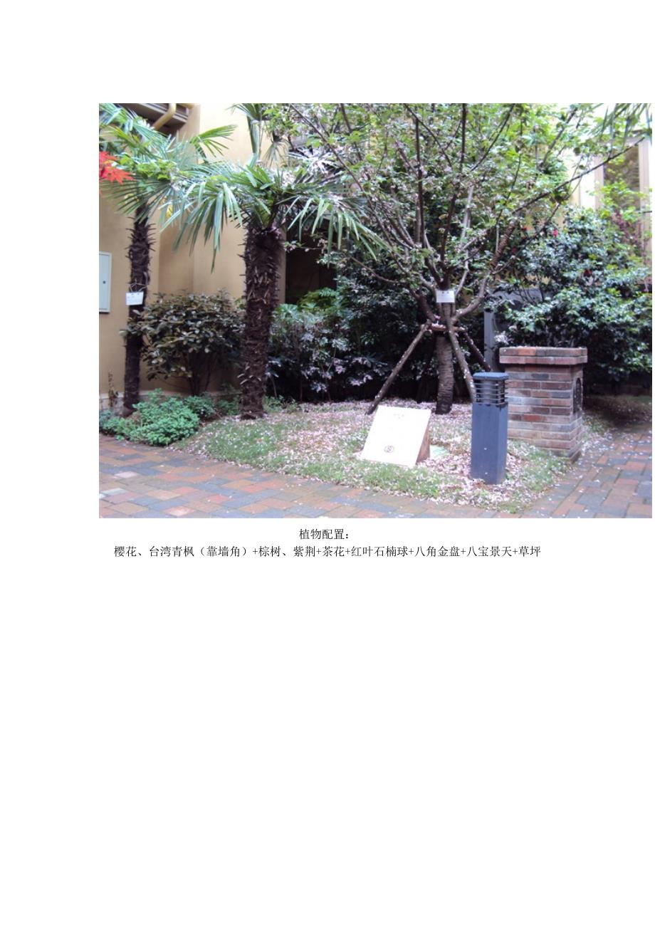 华中及华南地区的植物配置_第4页