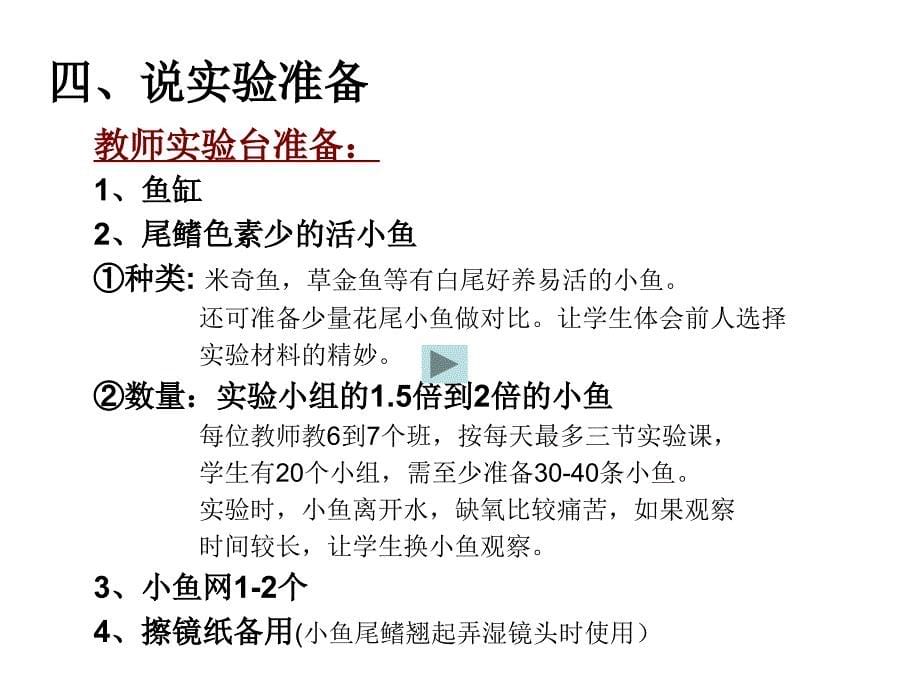 说课 10章2 实验 观察小鱼尾鳍血液循环_第5页