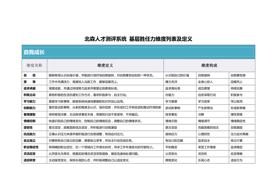 北森胜任力-维度说明.pdf_第1页
