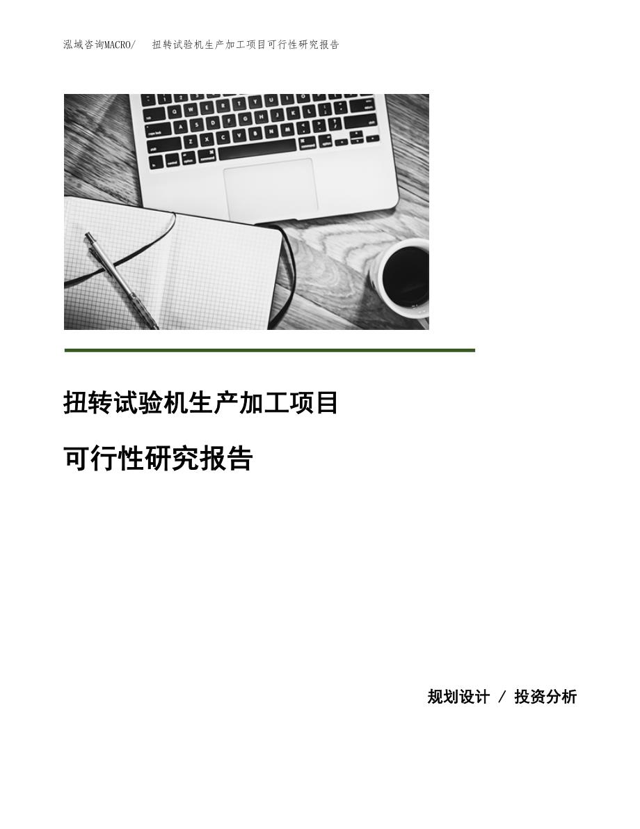 （模板）扭转试验机生产加工项目可行性研究报告_第1页