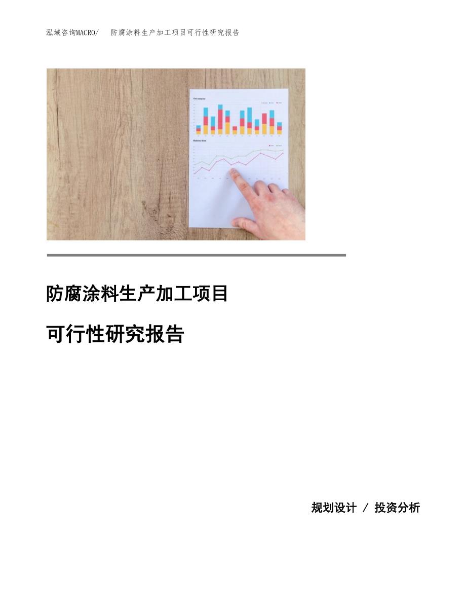 （模板）防腐涂料生产加工项目可行性研究报告_第1页