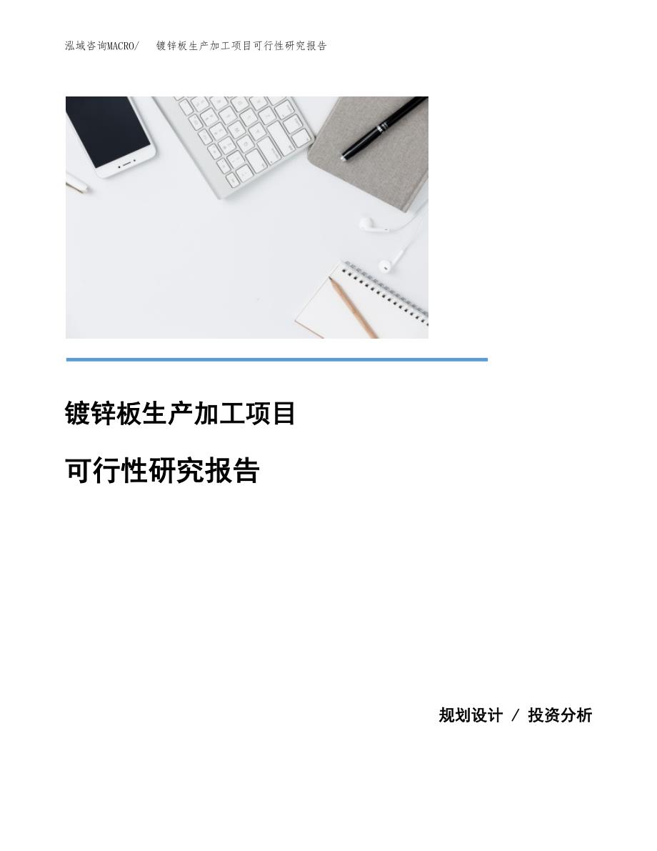 （模板）镀锌板生产加工项目可行性研究报告_第1页