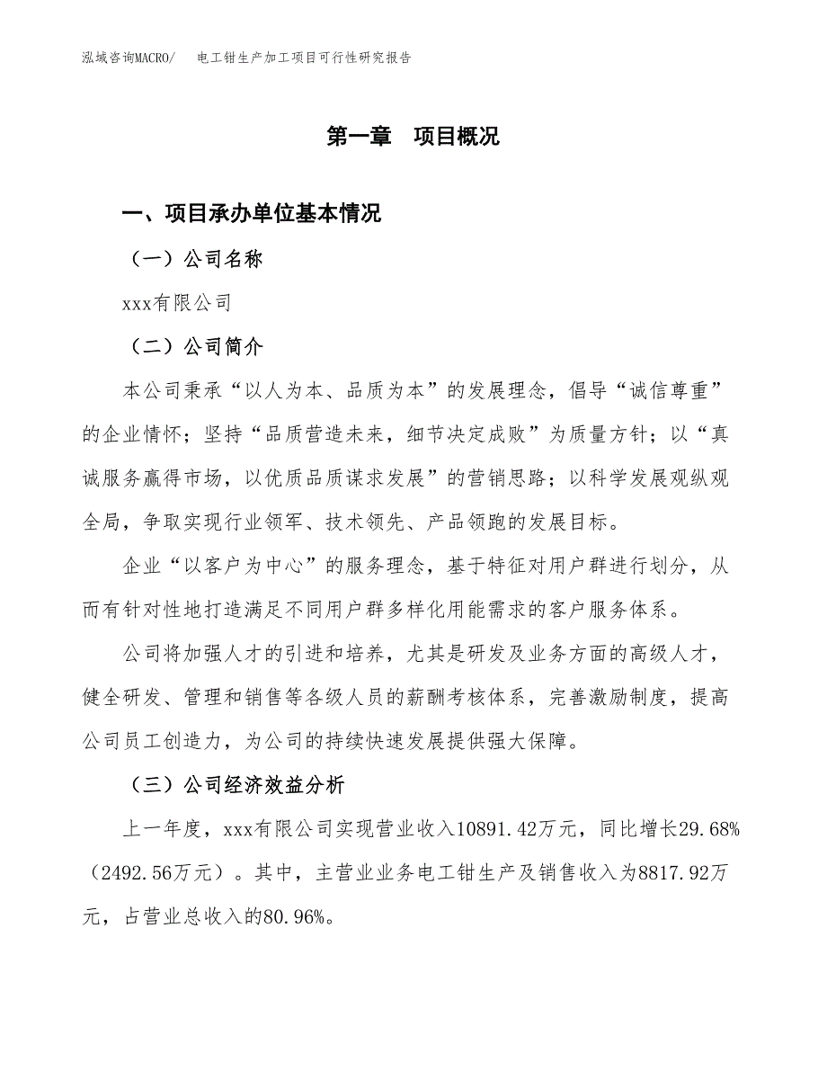 （模板）电工钳生产加工项目可行性研究报告_第4页