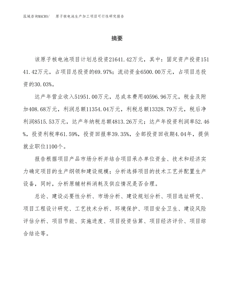 （模板）原子核电池生产加工项目可行性研究报告_第2页