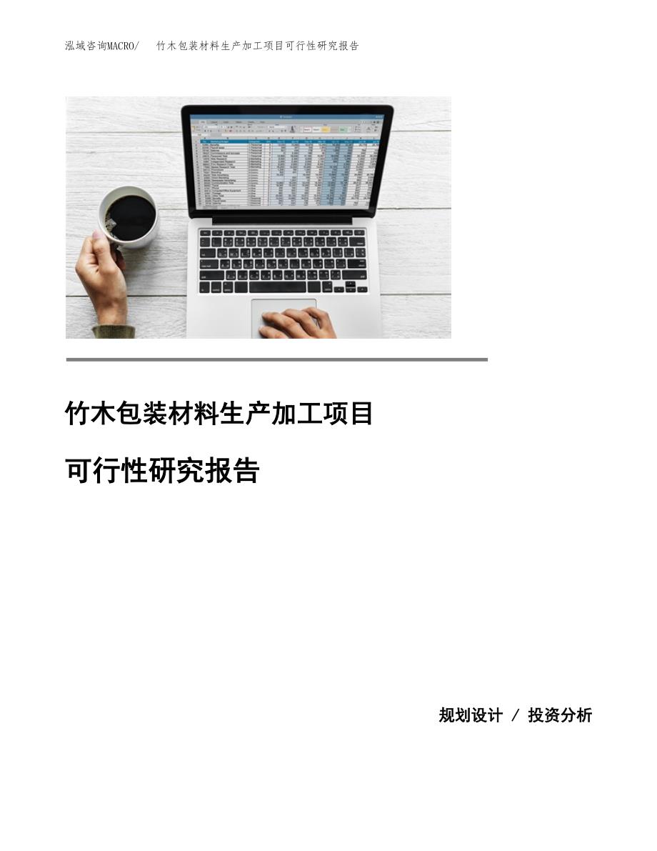 （模板）竹木包装材料生产加工项目可行性研究报告_第1页