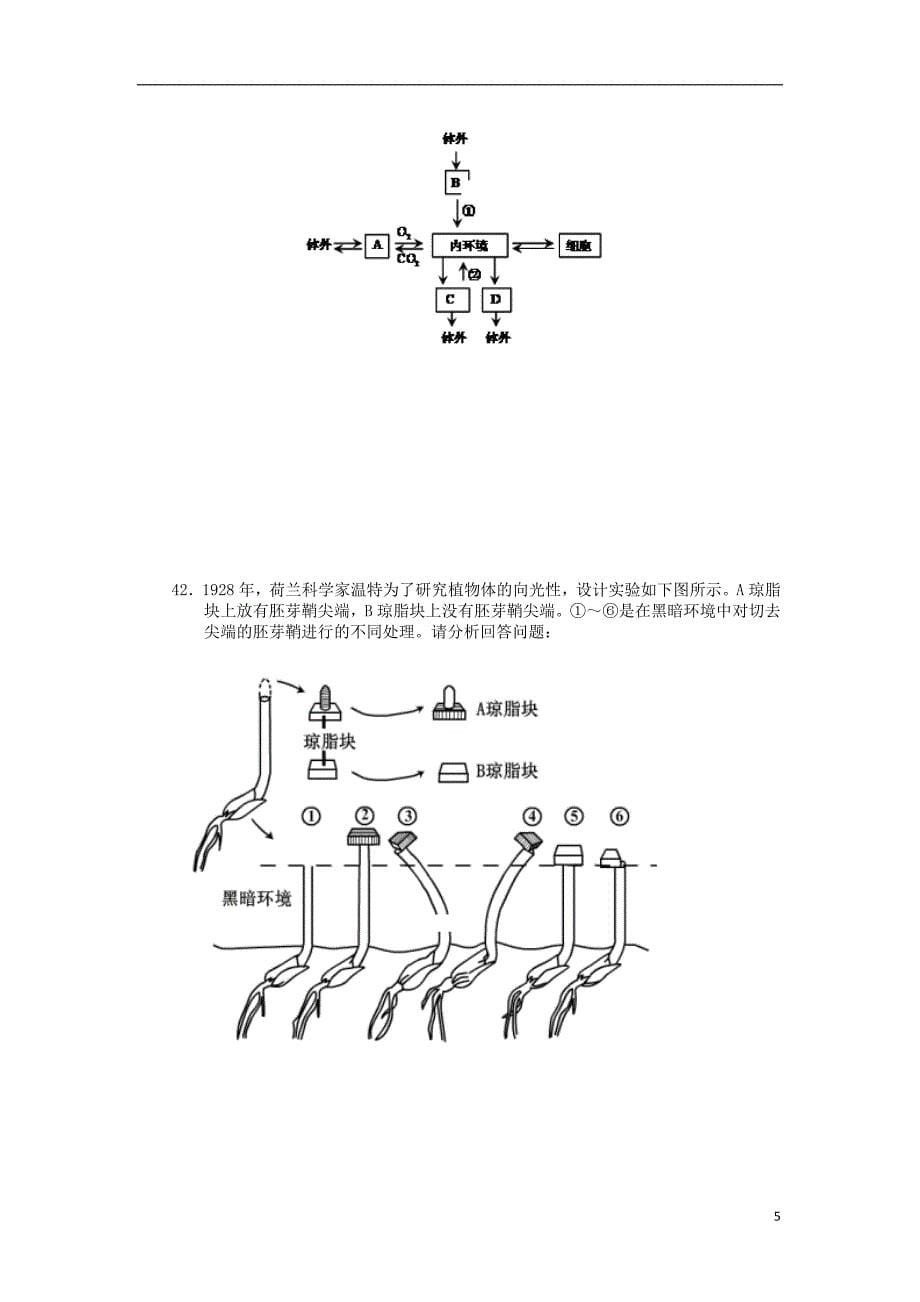 黑龙江省望奎县一中2018_2019学年高二生物上学期第三次月考试题理201812120298_第5页