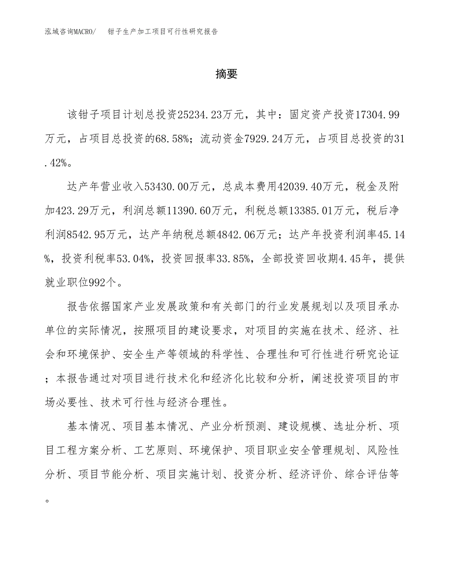 （模板）钳子生产加工项目可行性研究报告_第2页