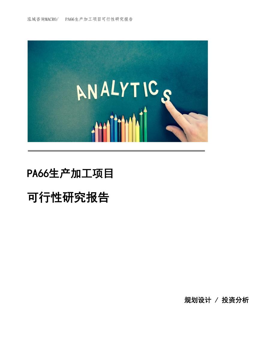 （模板）PA66生产加工项目可行性研究报告_第1页