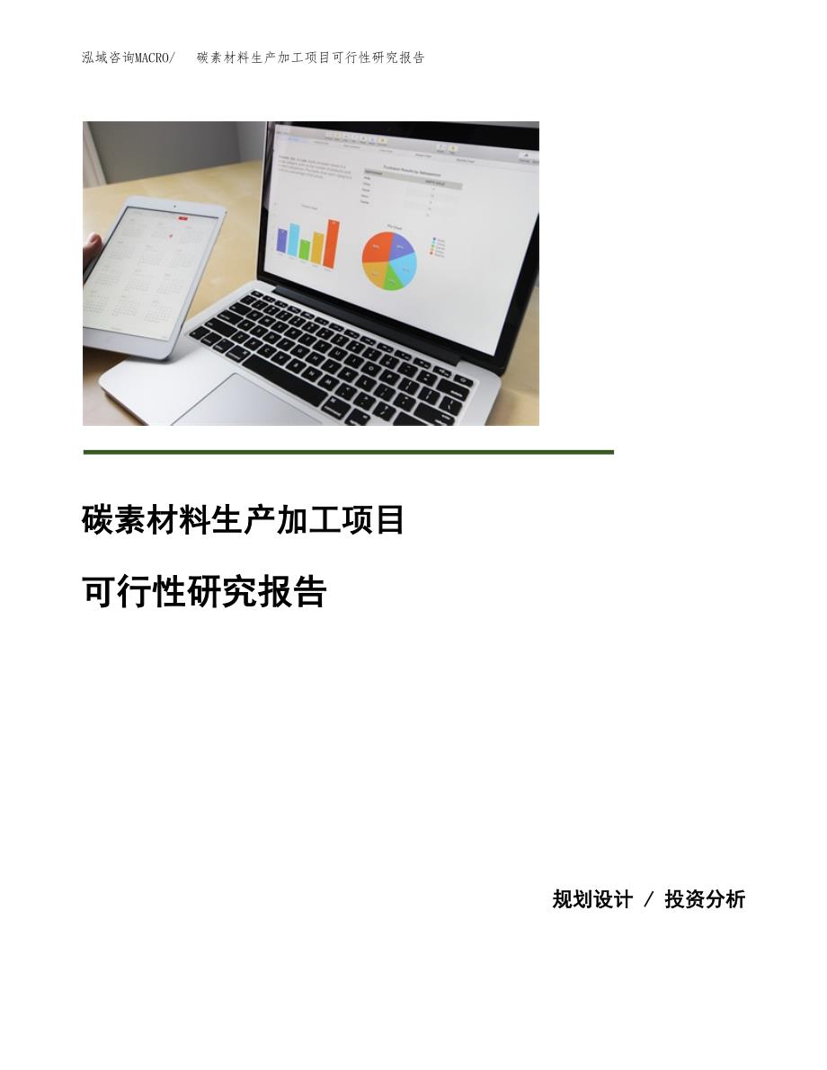 （模板）碳素材料生产加工项目可行性研究报告_第1页