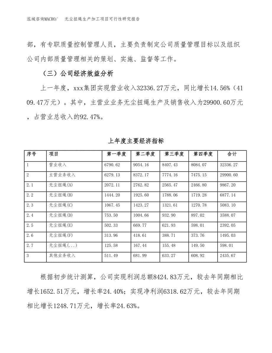 无尘扭绳生产加工项目可行性研究报告_第5页