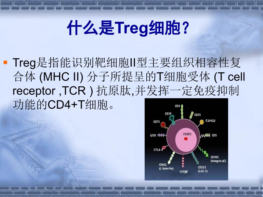 调节性 T细胞与肿瘤_第2页