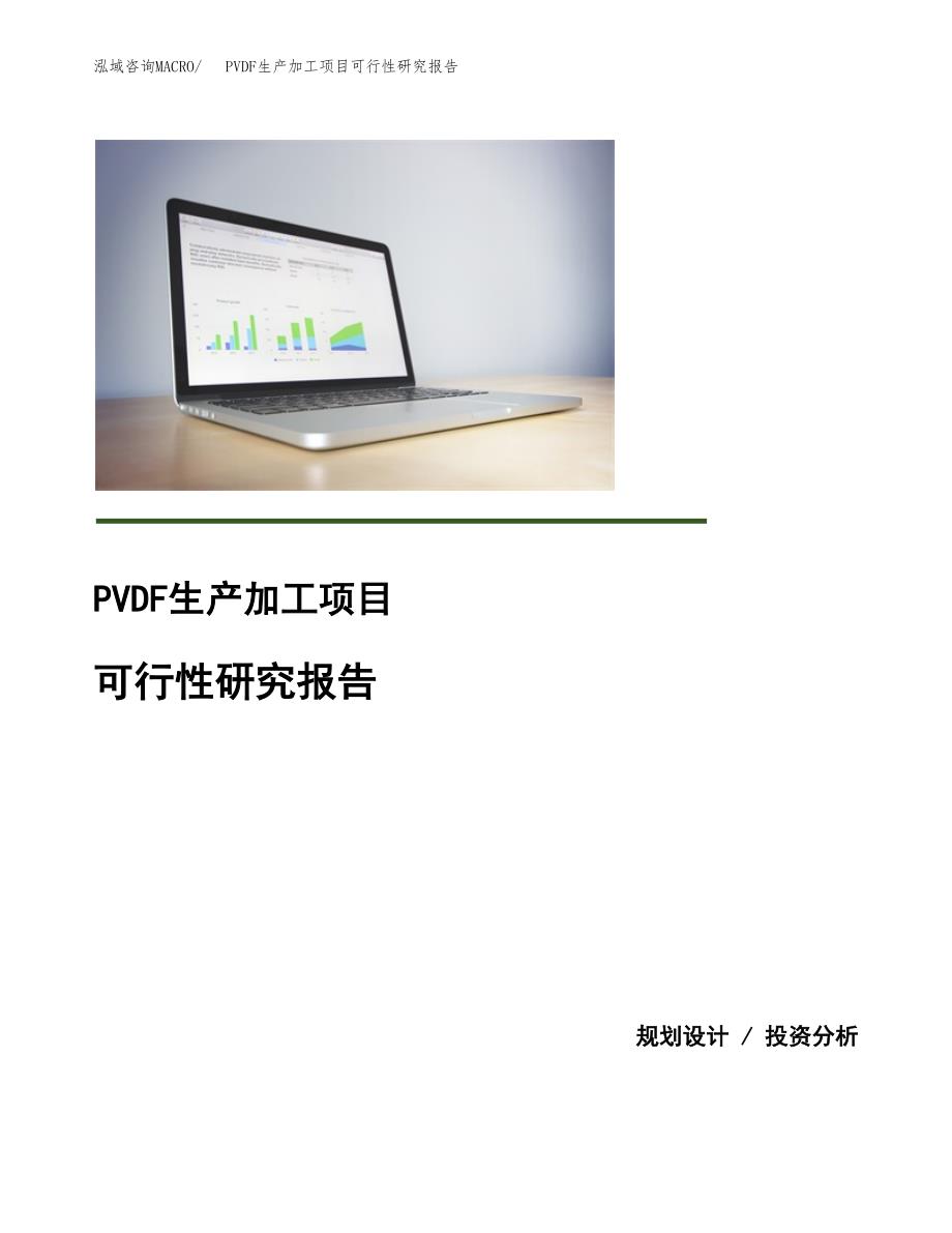 （模板）PVDF生产加工项目可行性研究报告_第1页