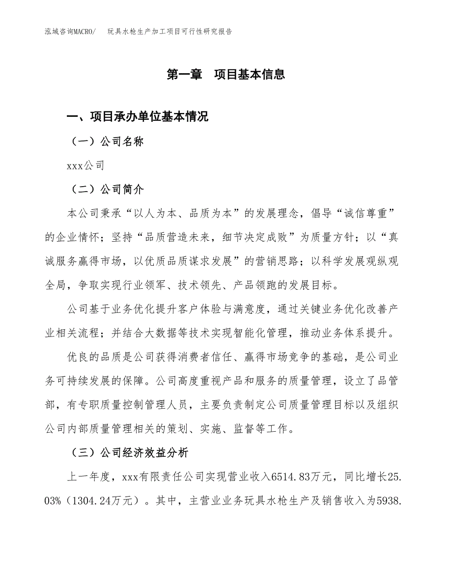 玩具水枪生产加工项目可行性研究报告_第4页