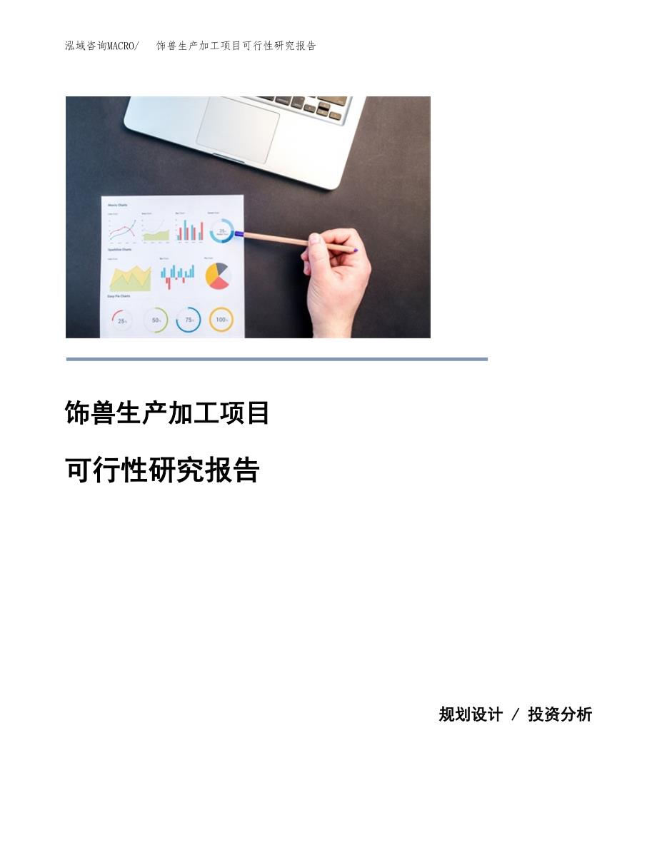 （模板）饰兽生产加工项目可行性研究报告_第1页