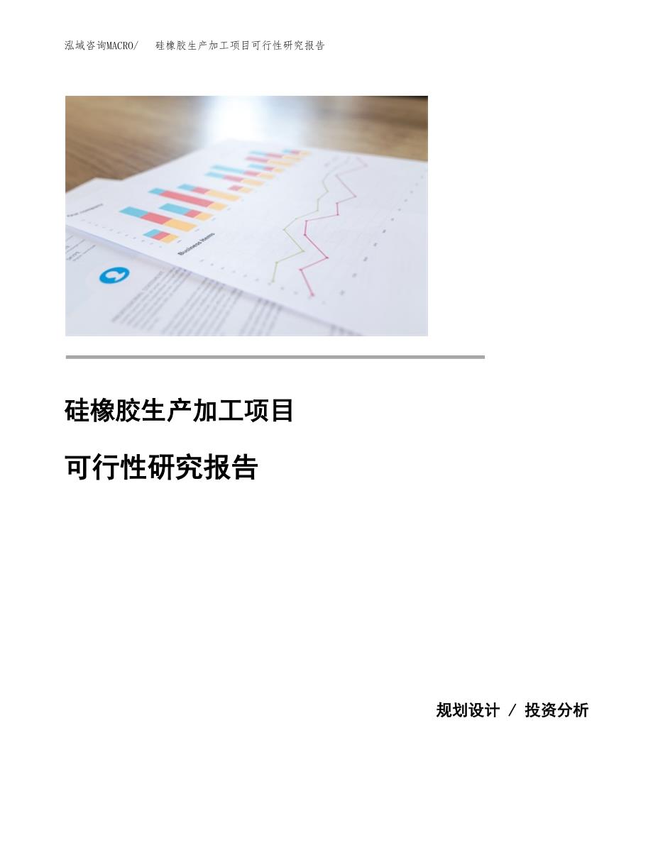 （模板）硅橡胶生产加工项目可行性研究报告_第1页