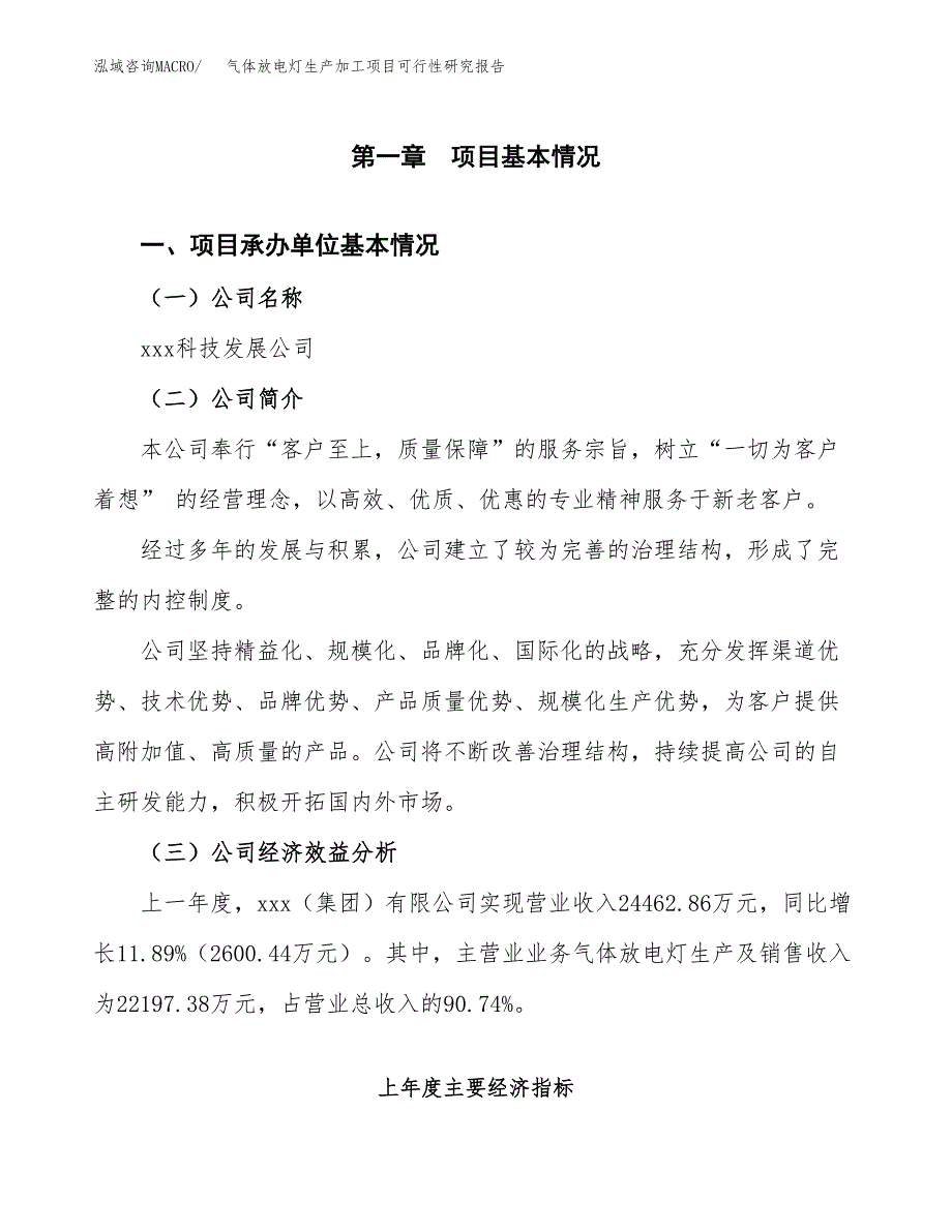 （模板）气体放电灯生产加工项目可行性研究报告_第4页