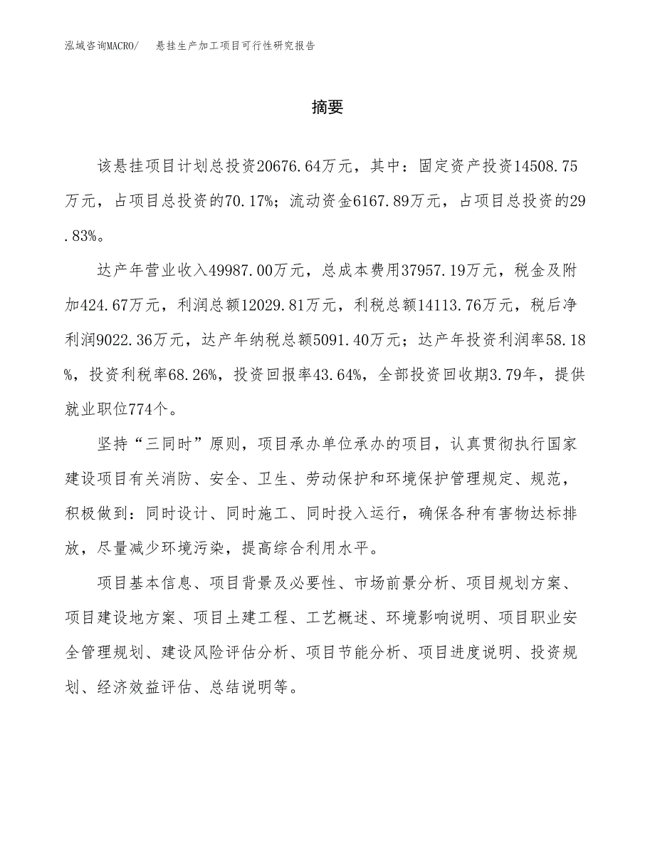 （模板）悬挂生产加工项目可行性研究报告_第2页