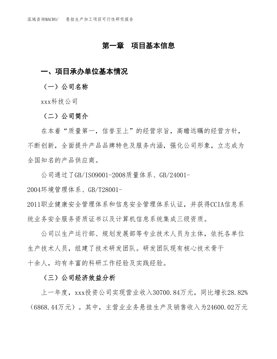 （模板）悬挂生产加工项目可行性研究报告_第4页