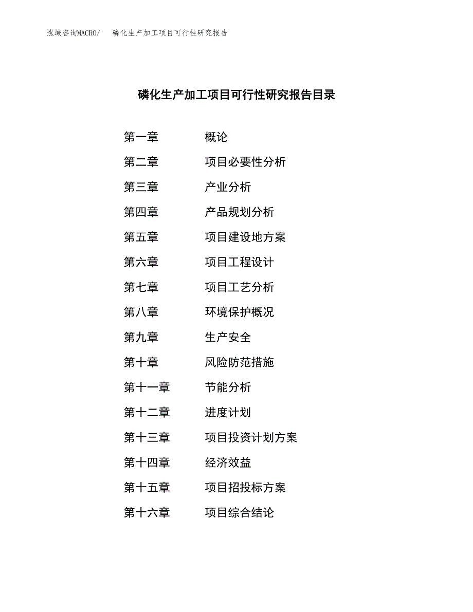 （模板）磷化生产加工项目可行性研究报告_第3页