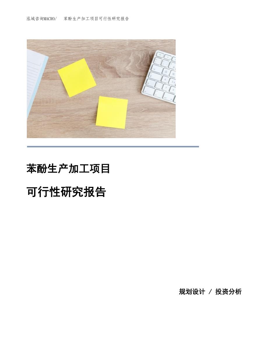 （模板）苯酚生产加工项目可行性研究报告_第1页