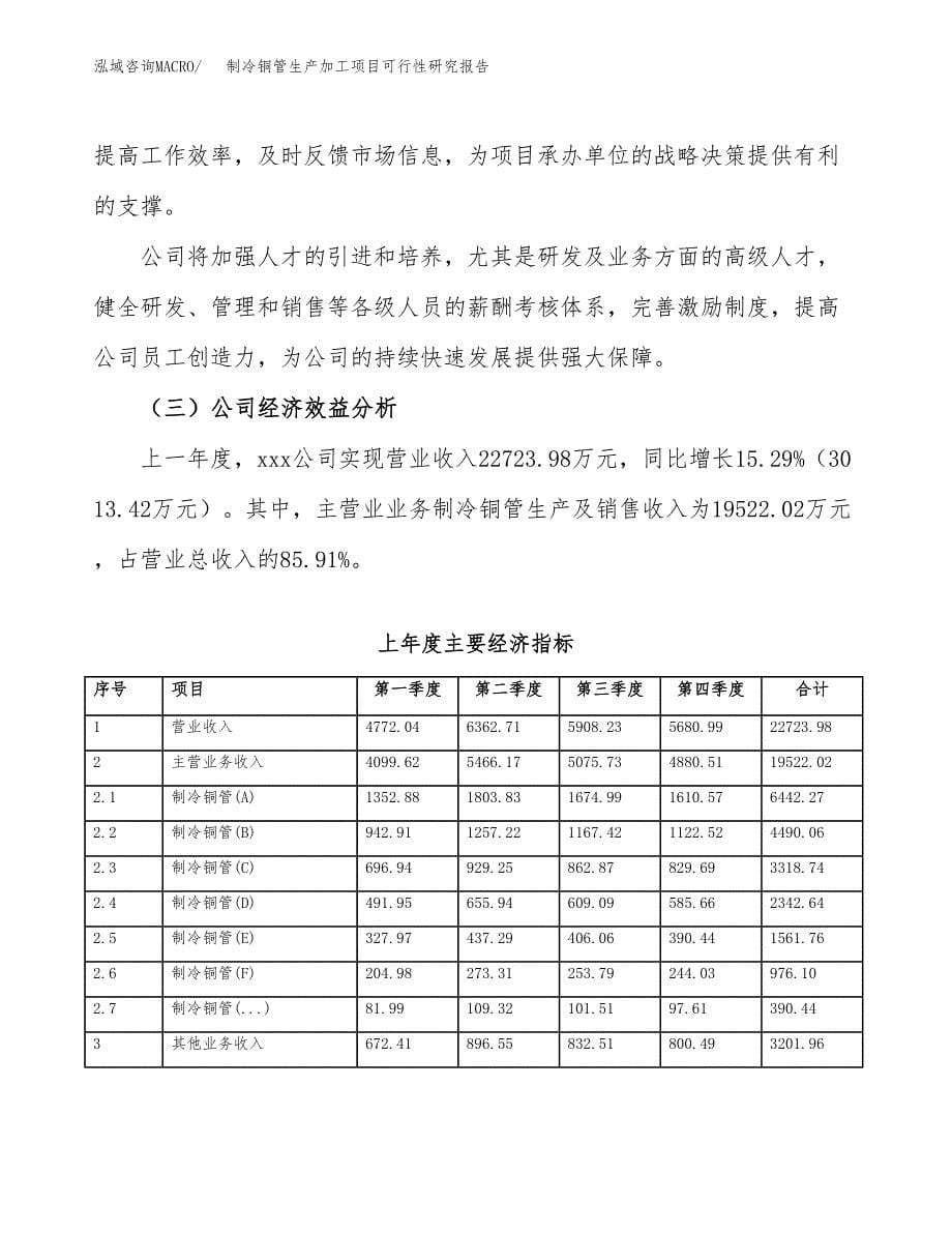 制冷铜管生产加工项目可行性研究报告_第5页