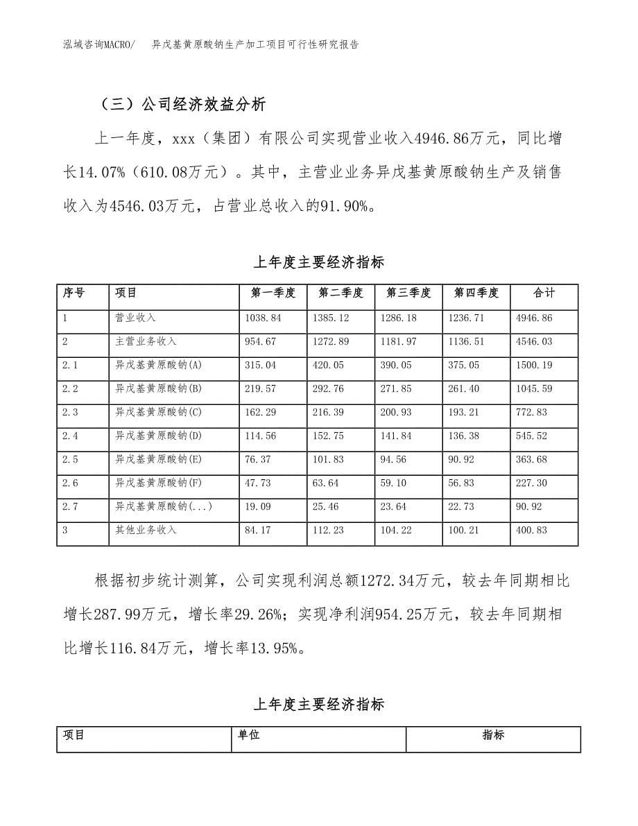 （模板）异戊基黄原酸钠生产加工项目可行性研究报告_第5页