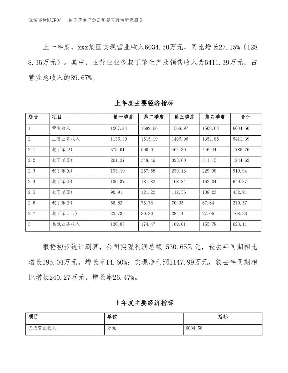 （模板）叔丁苯生产加工项目可行性研究报告_第5页