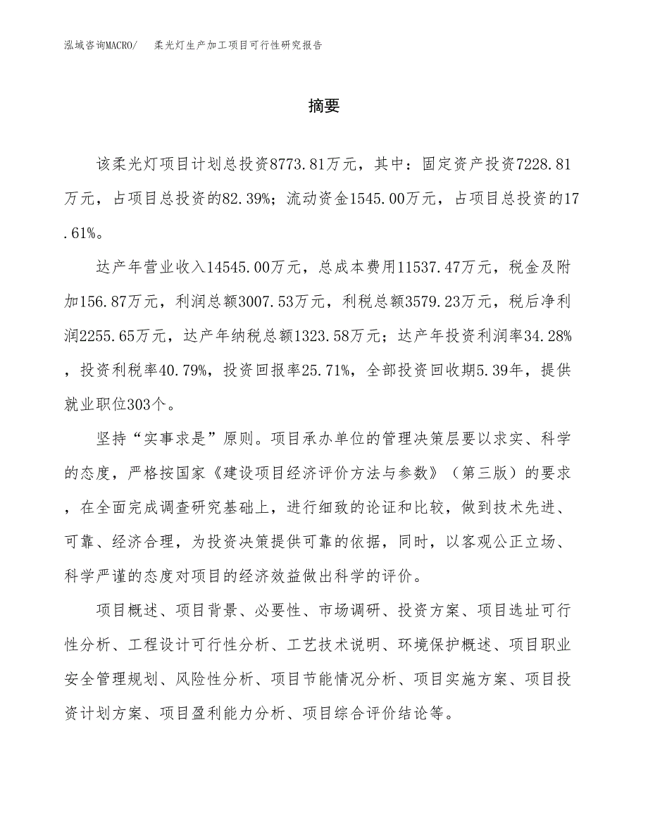 （模板）柔光灯生产加工项目可行性研究报告_第2页