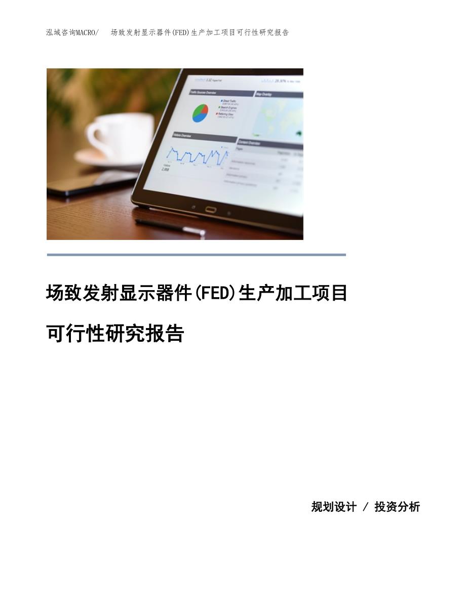 （模板）场致发射显示器件(FED)生产加工项目可行性研究报告_第1页