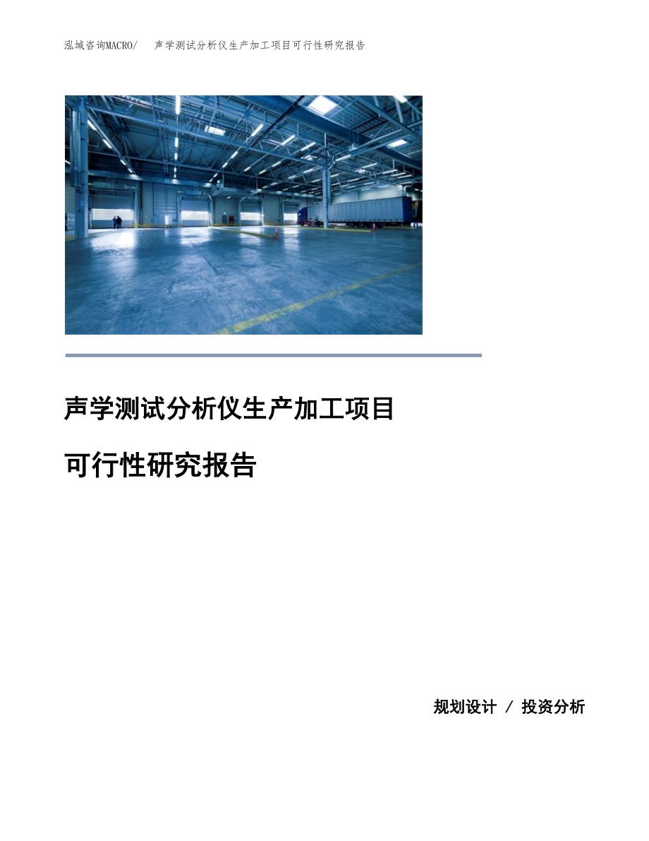 （模板）声学测试分析仪生产加工项目可行性研究报告_第1页