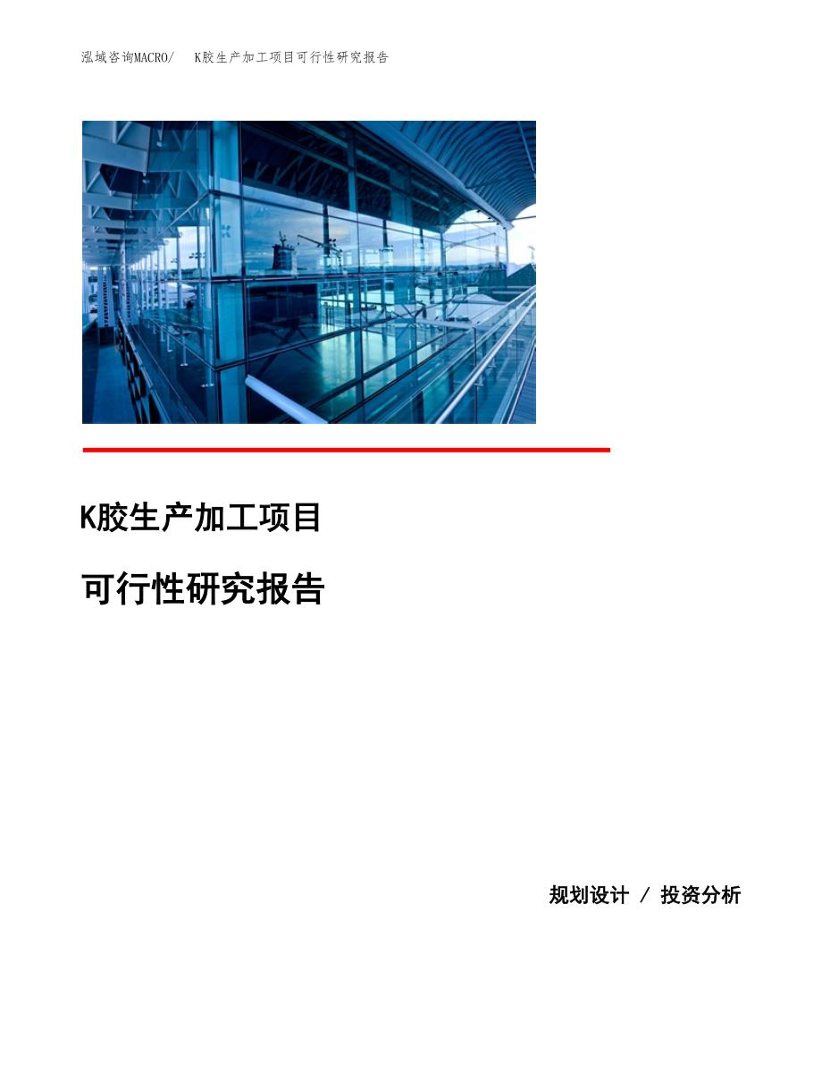 （模板）K胶生产加工项目可行性研究报告_第1页