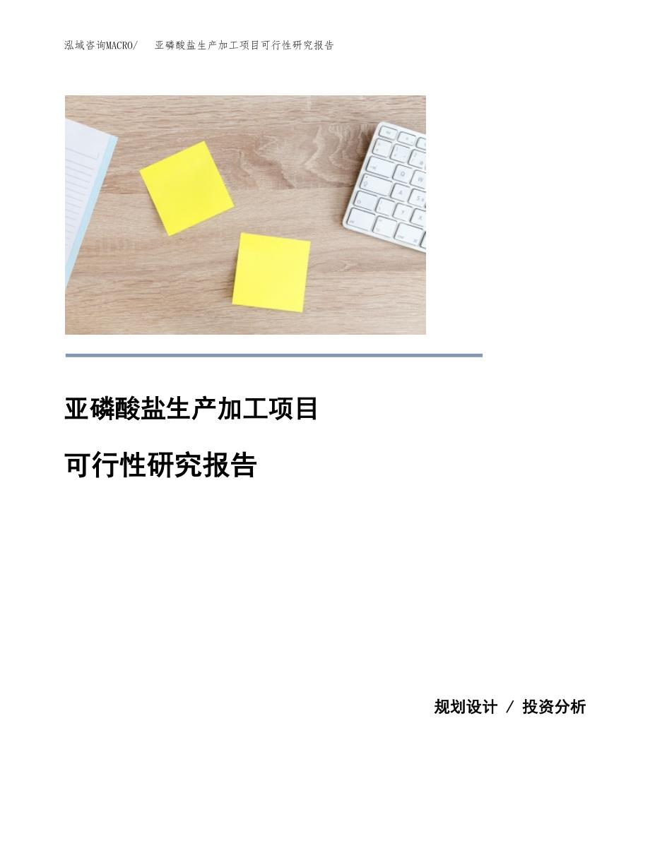 （模板）亚磷酸盐生产加工项目可行性研究报告_第1页