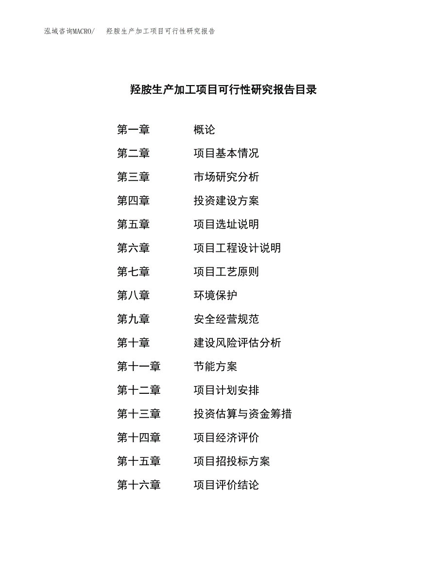 （模板）羟胺生产加工项目可行性研究报告_第4页