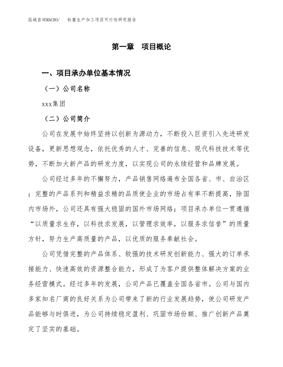 柱塞生产加工项目可行性研究报告_第4页