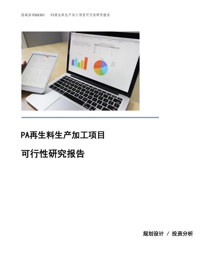 （模板）PA再生料生产加工项目可行性研究报告
