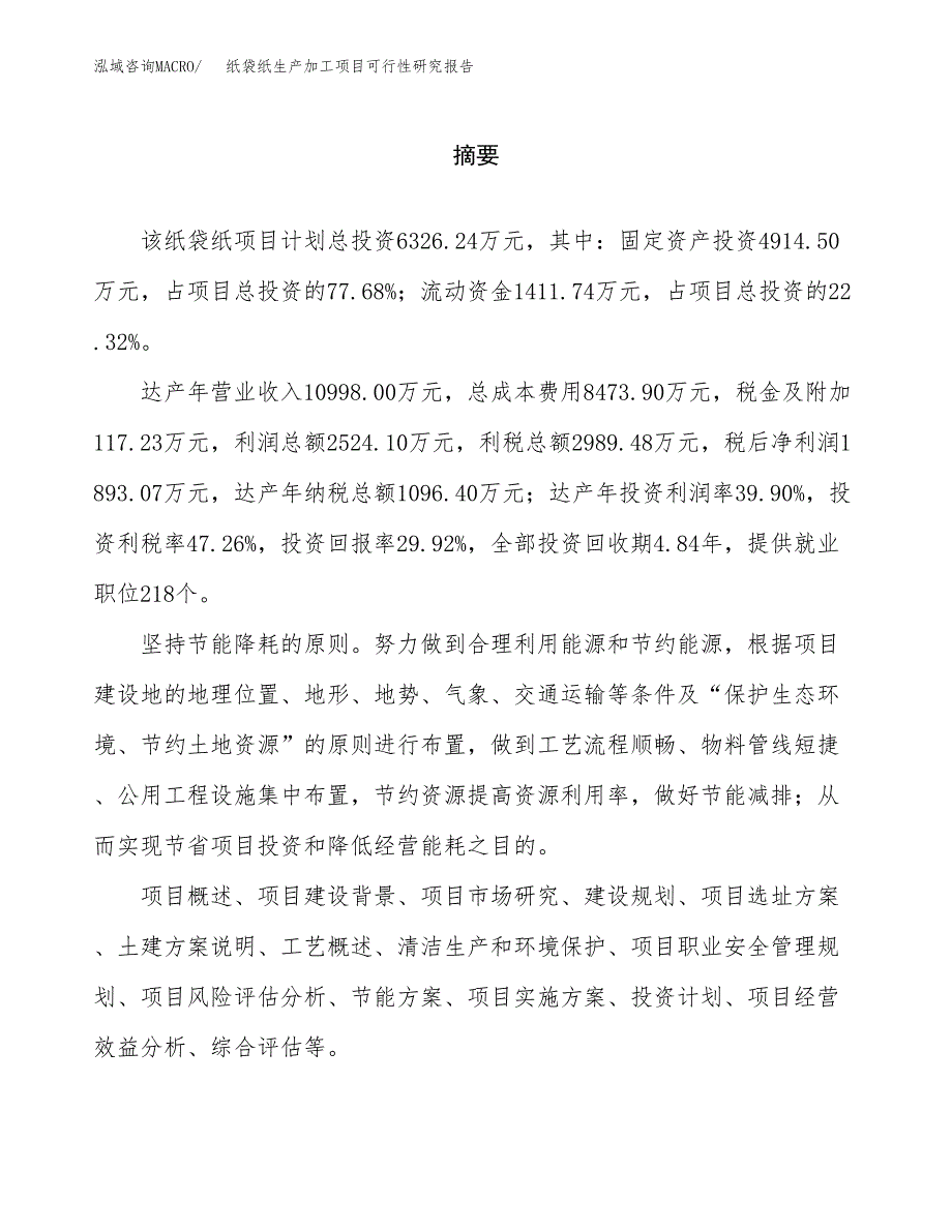 纸袋纸生产加工项目可行性研究报告_第2页