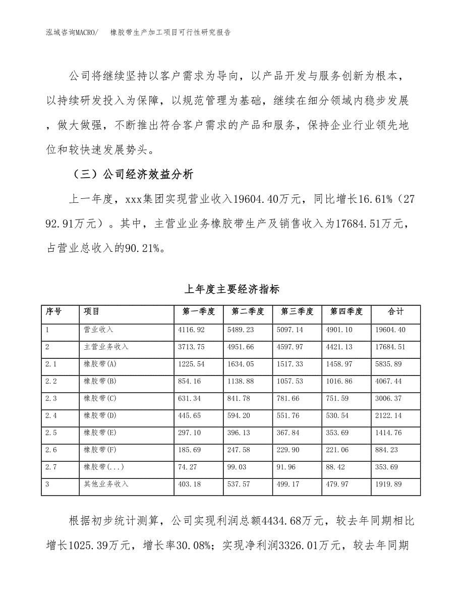 （模板）橡胶带生产加工项目可行性研究报告_第5页