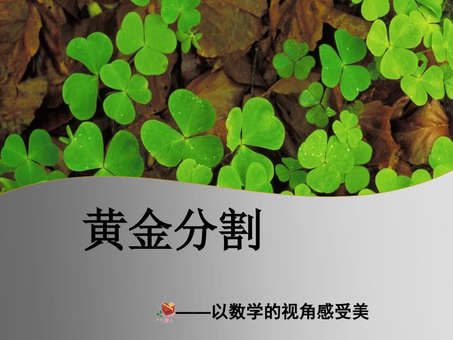 黄金分割市公开课.ppt_第1页