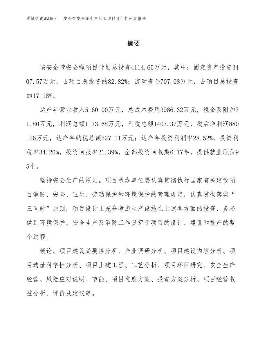 （模板）安全带安全绳生产加工项目可行性研究报告_第2页